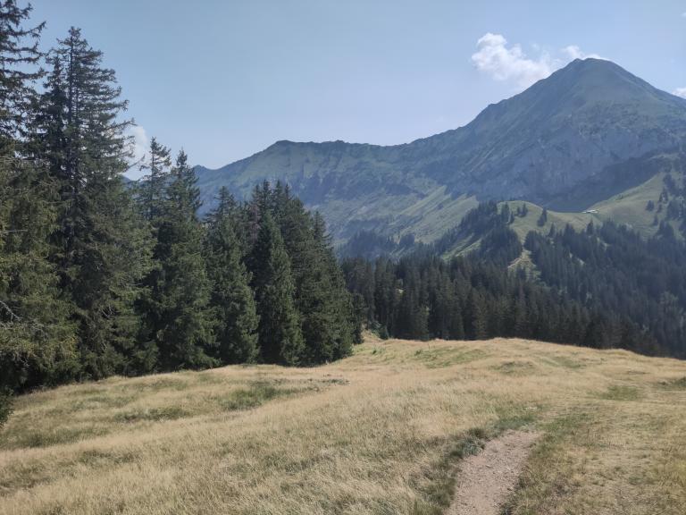 Hike: Aeschiried - Brunni