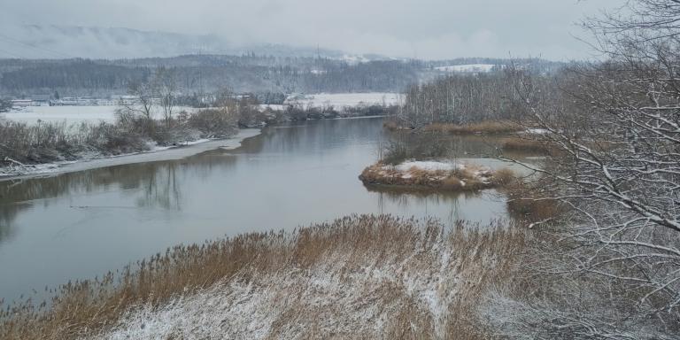 Nature reserve Häftli